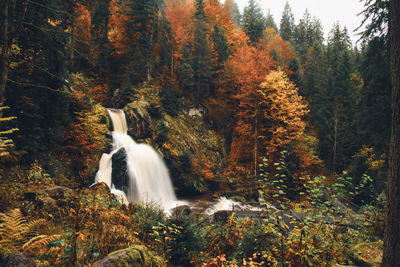 View of waterfall in forest