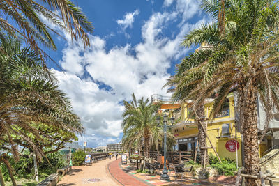 Beach coast lined with palm trees of distortion seaside and oak fashion buildings in okinawa.