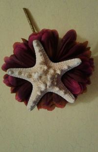 Close-up of object over white background