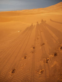 View of tire tracks in desert