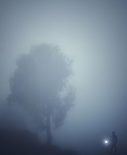 Close-up of tree against sky