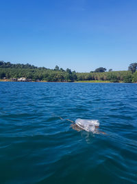 Scenic view of sea against clear blue sky