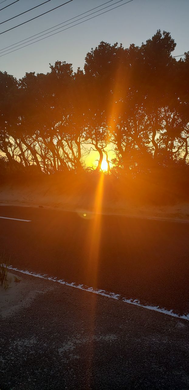 SILHOUETTE TREES BY ROAD AGAINST ORANGE SKY