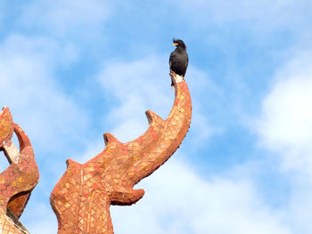 Low angle view of bird perching on rock against sky