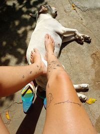 Sunny day with tan and my dog