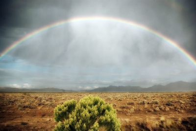 Scenic view of rainbow against sky