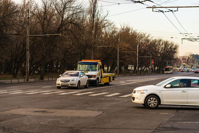 Cars on road against trees in city