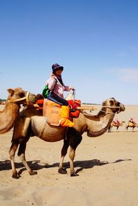 Side view portrait of woman riding camel at desert against blue sky