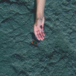 Directly above shot of woman reaching butterfly on rock