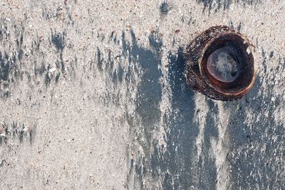 Full frame shot of old metal door