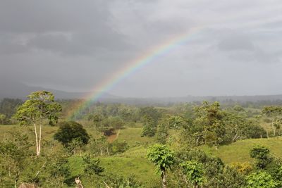 Scenic view of rainbow over landscape against sky