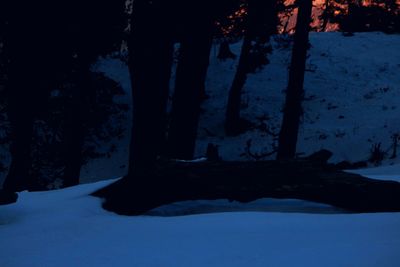 Silhouette trees on snow covered landscape