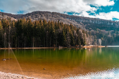 Scenic view of lake by trees against sky