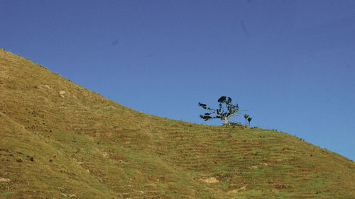 Scenic view of land against clear blue sky