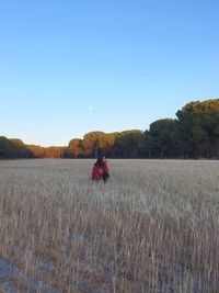 Scenic view of agricultural field against clear sky