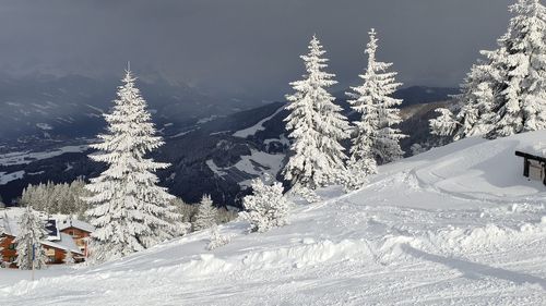 Snow covered trees by mountains during winter