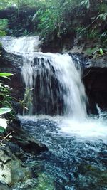 Scenic view of waterfall in forest