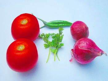High angle view of tomatoes