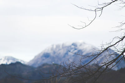 Bare tree against sky during winter