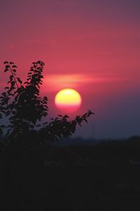 Silhouette trees against sky during sunset