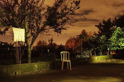 Trees against sky at sunset