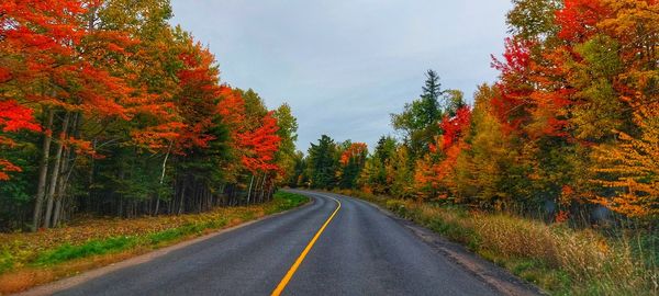 Road amidst trees during autumn