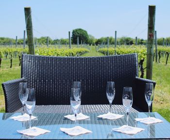 Outdoor table and chairs against vineyard