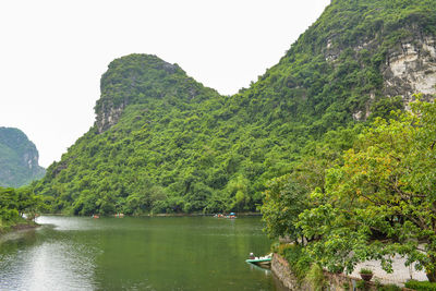 Scenic view of river amidst trees against sky