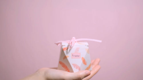 Close-up of hand holding camera over pink background