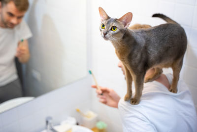 Man brushes his teeth.abyssinian cat on his shoulders.love pets and an eco-friendly lifestyle