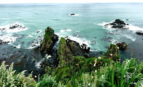 High angle view of rocks on beach