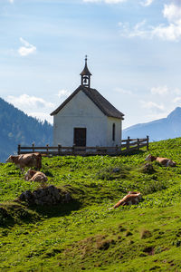 Small chapel on the ackernalm in austria