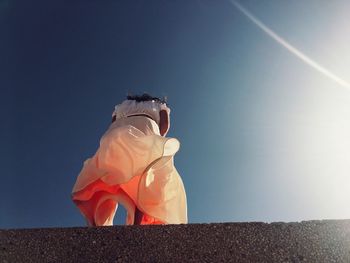 Low angle view of woman against sky