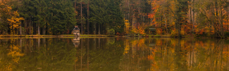 Scenic view of lake in forest during autumn