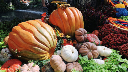 High angle view of pumpkins for sale at market