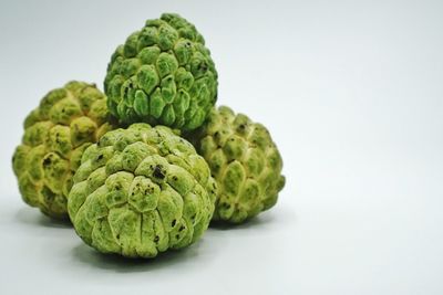 Close-up of green beans against white background