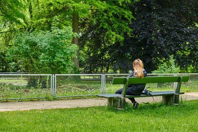 Rear view of woman sitting on bench in park
