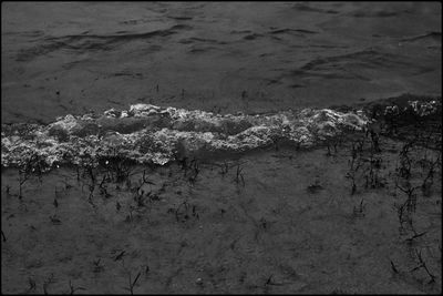 High angle view of frozen sea shore