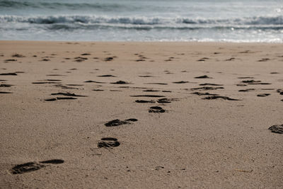 Scenic view of beach