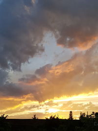 Silhouette trees against sky during sunset