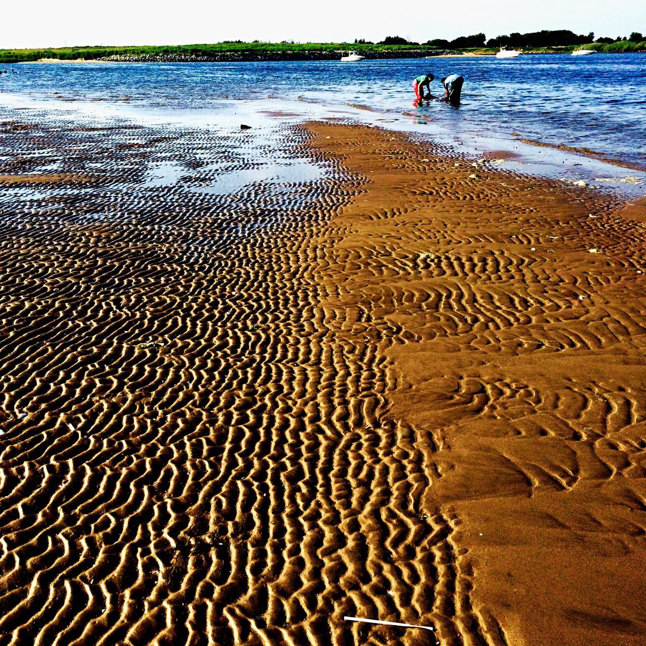 beach, sand, sea, shore, water, vacations, footprint, summer, tranquility, horizon over water, leisure activity, incidental people, nature, sunlight, lifestyles, tranquil scene, tourist, tourism, day