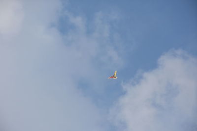 Low angle view of bird flying in sky
