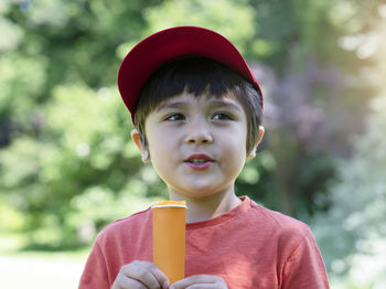 Portrait kid eating ice lolli , boy standing in the park enjoy eating ice cream lolli pop