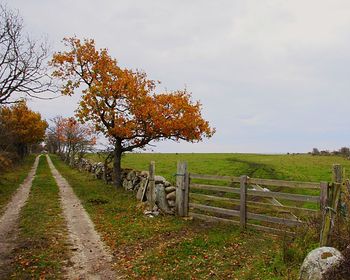 Trees on field against sky during autumn