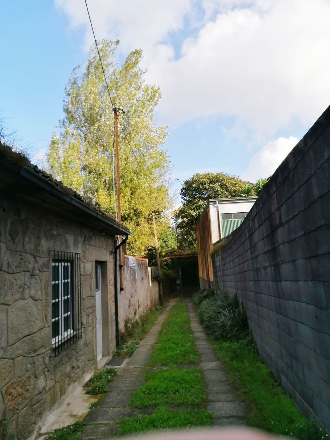 Bernardino Sá🍀🇵🇹🍀