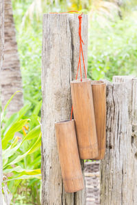 Close-up of wooden post on tree trunk