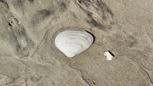 High angle view of sand on beach