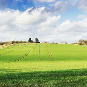 Scenic view of agricultural field against sky