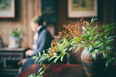 Potted plant on table