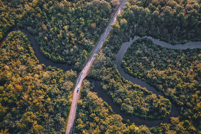 High angle view of road amidst trees